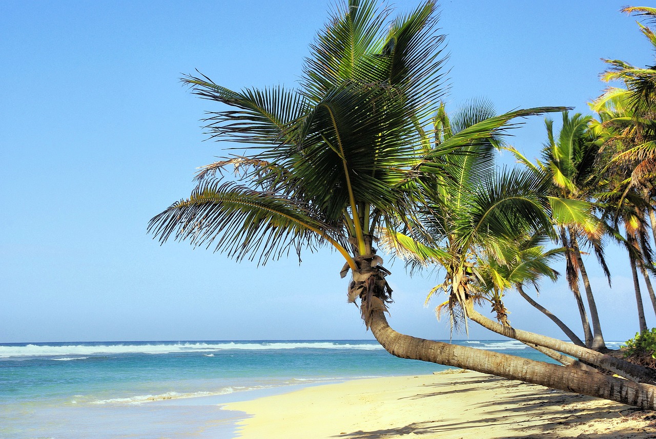 cuba, beach, nature-1092372.jpg